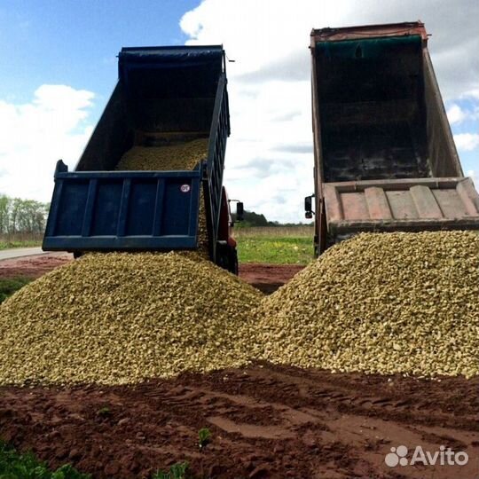 Пгс с доставкой