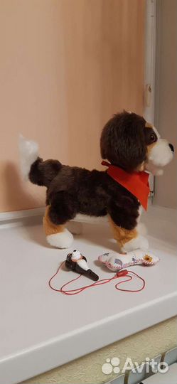 Интерактивная собака