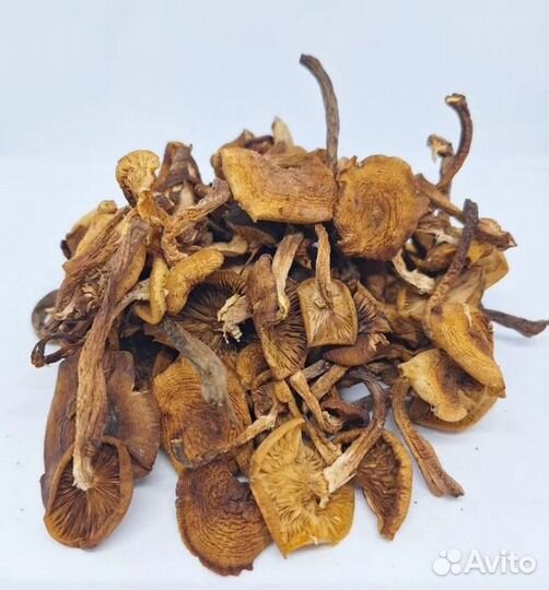 Сушеные опята