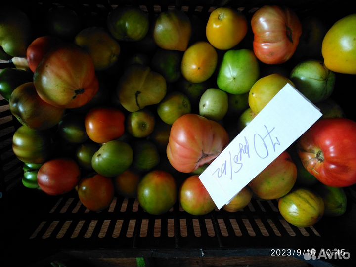 Помидоры, яблоки, тыквы