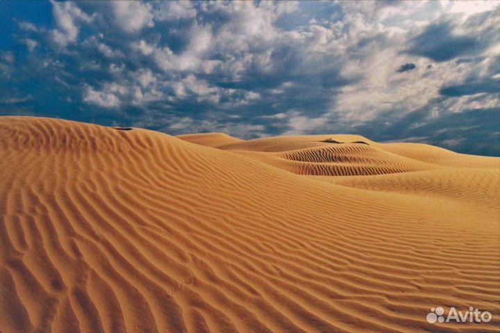 Экскурсии на бархан Большой брат