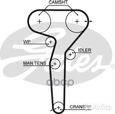 40831x24 Ремень грм 5423XS Gates