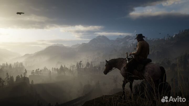Диск Red Dead Redemption 2 PS4/PS5