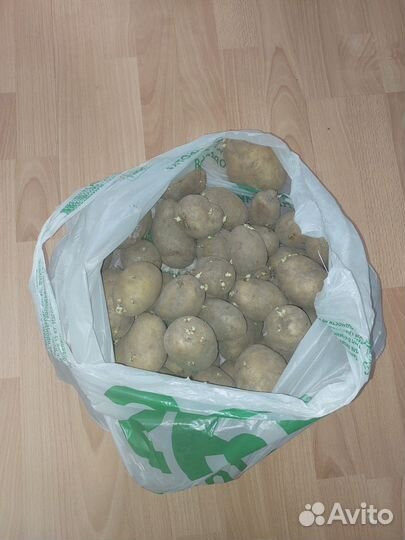 Продам картофель домашний
