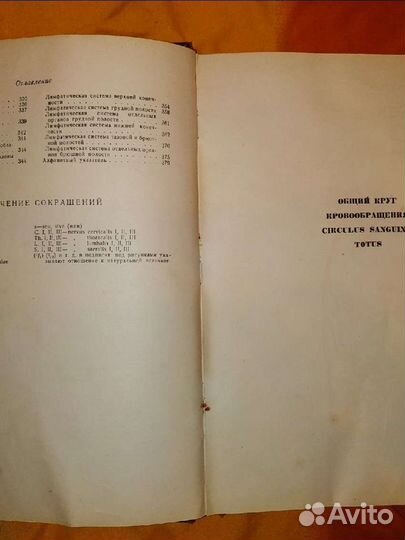 1940. Атлас анатомии человека. Том 4. Синельников
