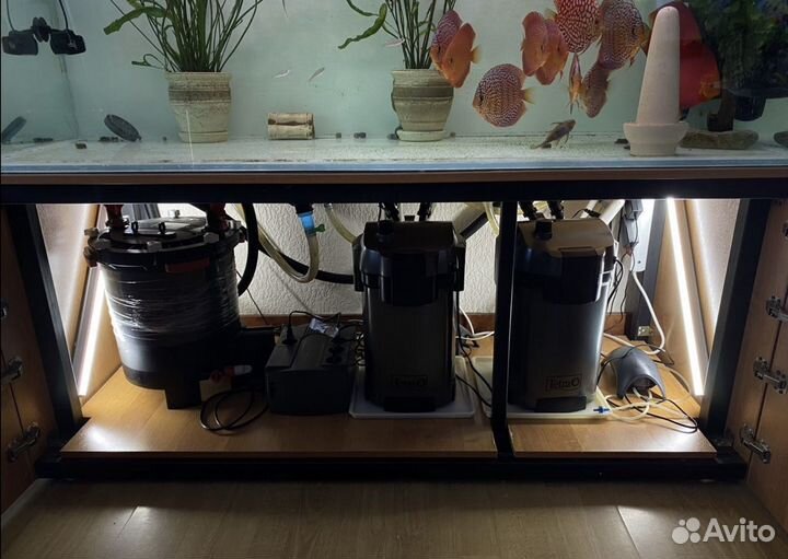 Fluval fx6, Tetra 1200, комплект для аквариума