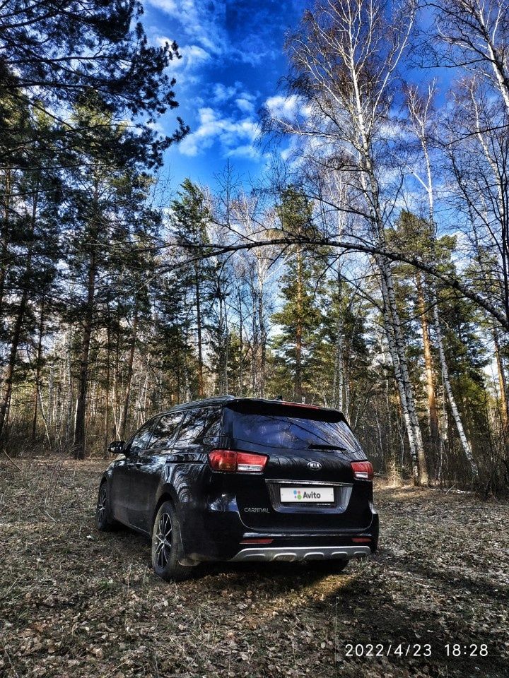 Kia Carnival: фото владельца