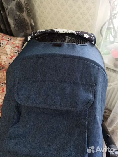 Коляска 2 в 1 rant Alaska