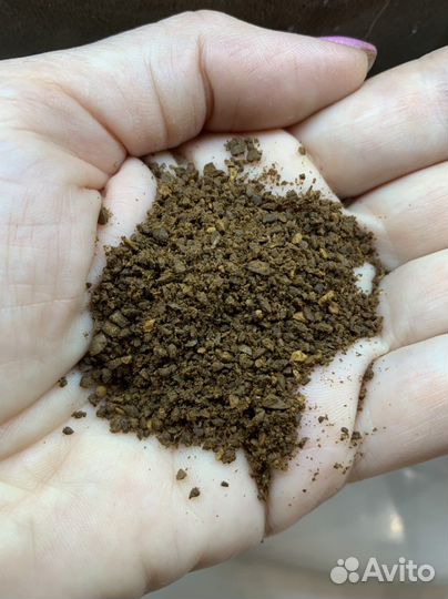 Кофе для изготовления домашнего скраба