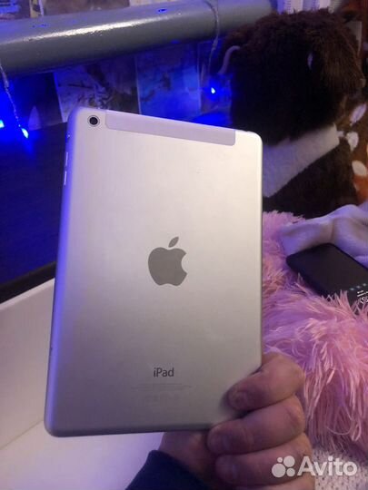 iPad