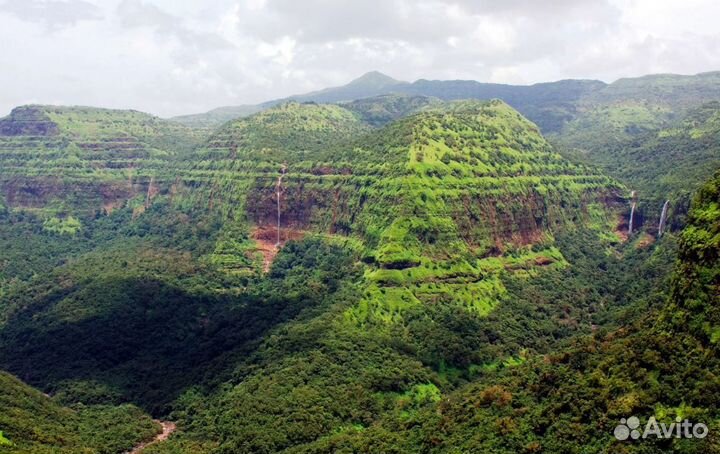 Поездка на гоа от 7 дней
