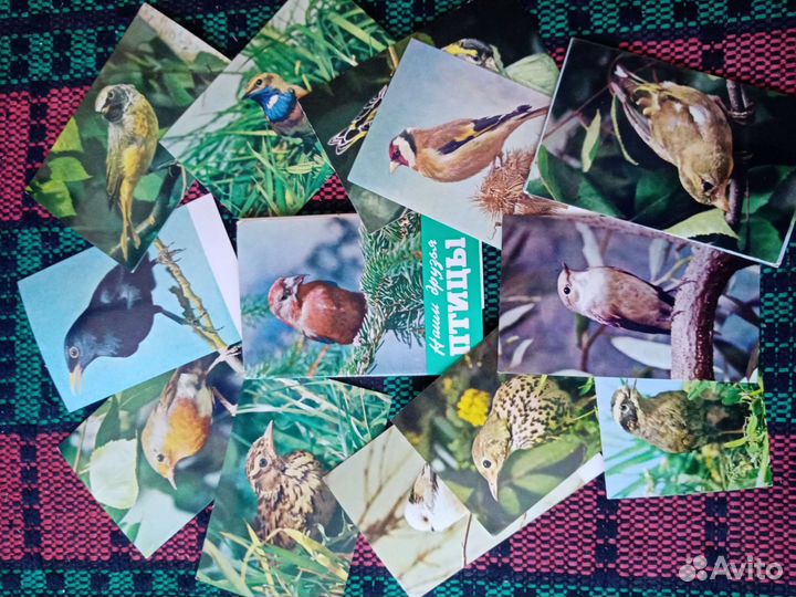 Книги о птицах ссср+открытки