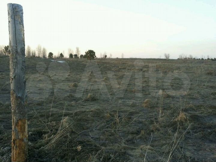 Участок 12 сот. (ИЖС)
