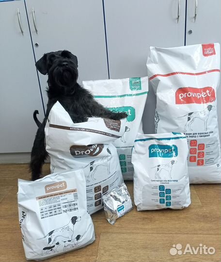 Сухой корм для кошек и собак 