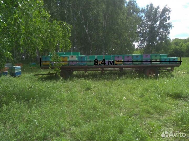 Прицеп для перевозки пчёл