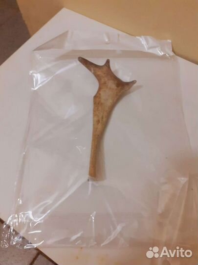 Корм для Собак.Рог Оленя для собак Погрызушка