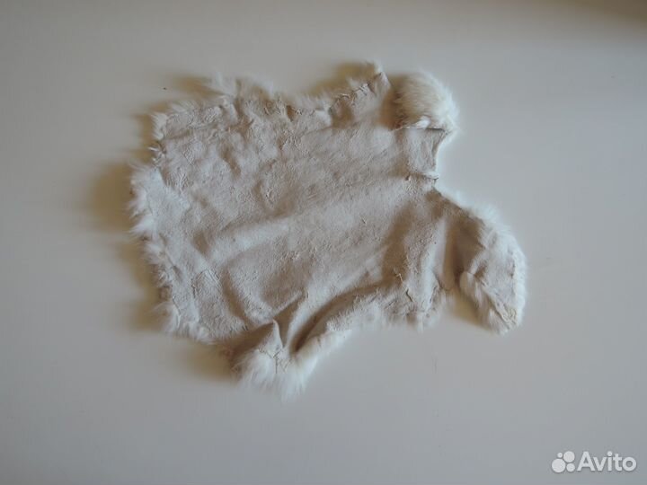 Шкурки кролика