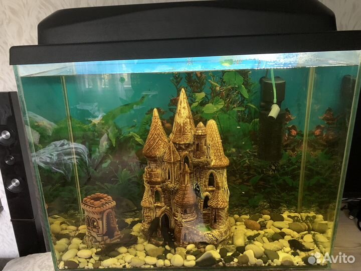 Аквариум 100л