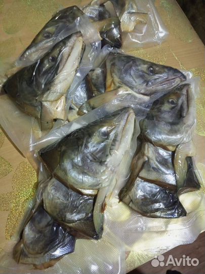 Кета холодного копчения, слабосоленая