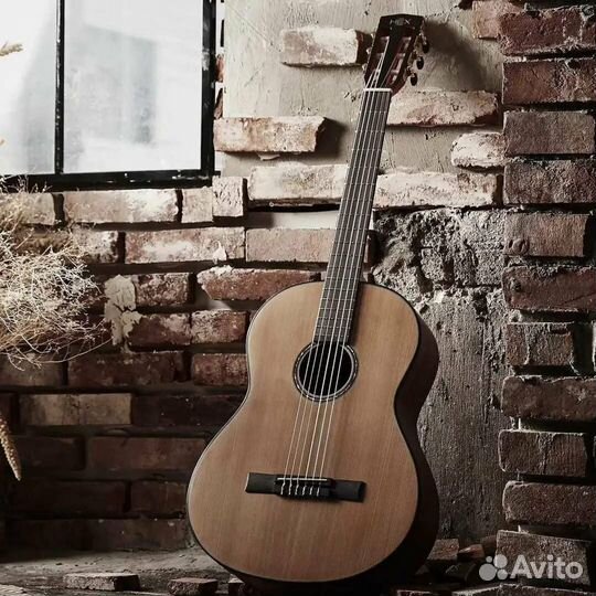 Репетитор гитара