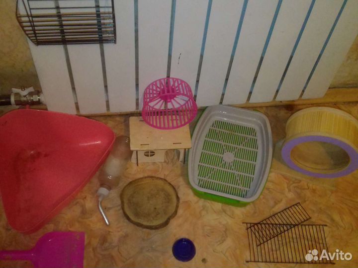 Товары для грызунов