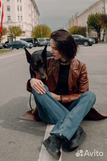 Доберман для фотосессии