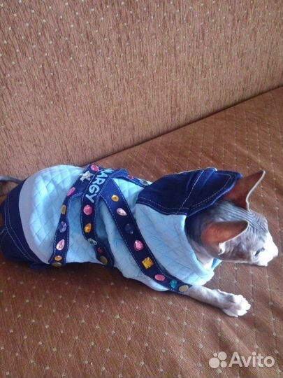 Новый Комбинезон доя собаки или кошки