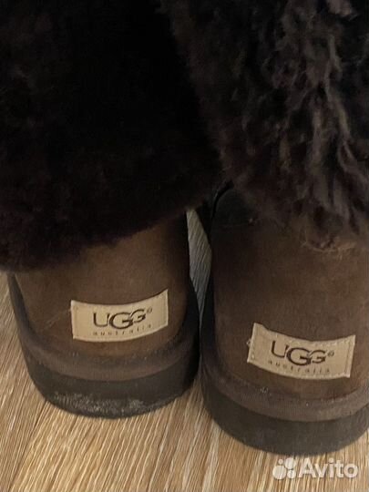 Ugg женские сапоги
