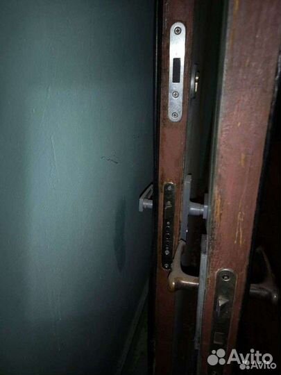 Двери входные за 2 шт