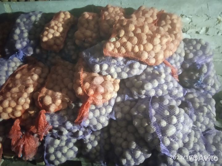 Картофель