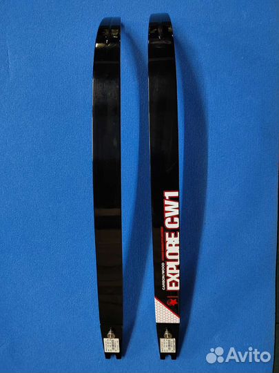 Лук классический