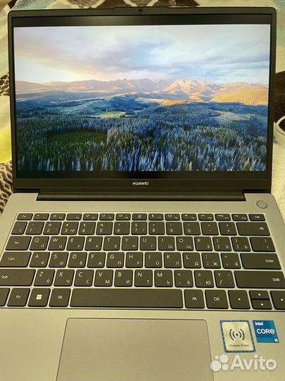 Ноутбук huawei MateBook D 14 MDF-X