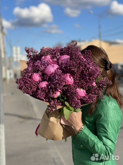 Сирень пион