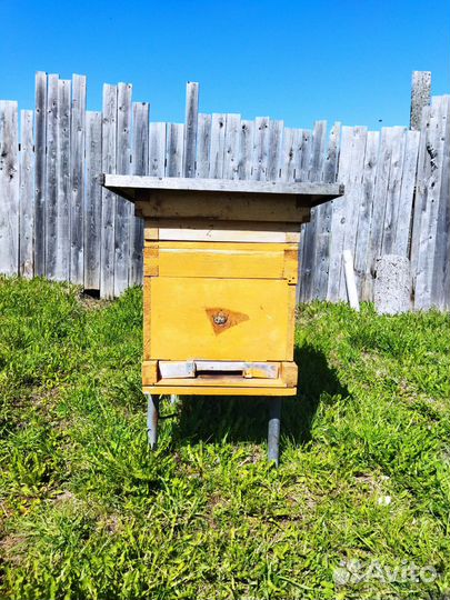 Продам ульи для пчел