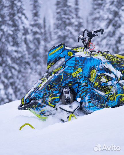 Polaris PRO RMK 850 2019 MY
