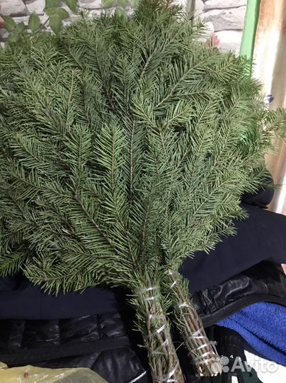 Веники березовые для бани