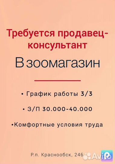 Продавец зоомагазина