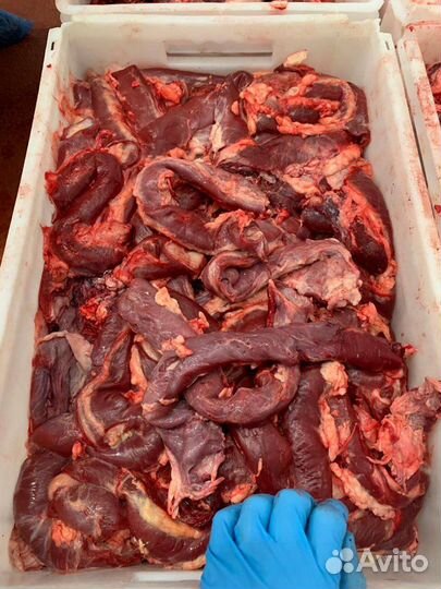 Обрезь сердца говяжьего