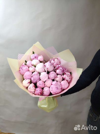 Пионы голландский