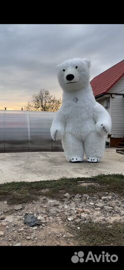 Белый медведь