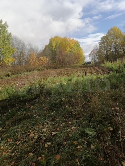 Участок 25 сот. (ИЖС)