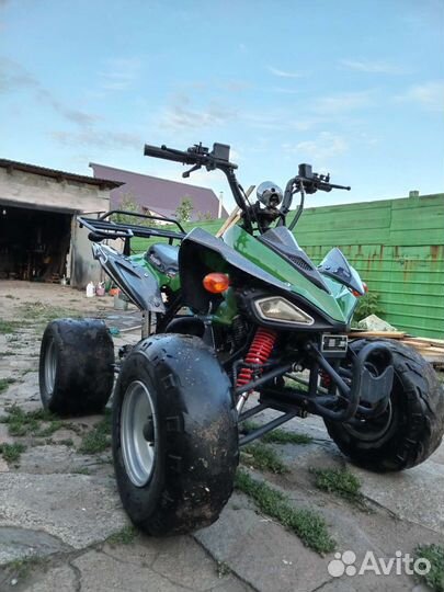 Scorpion