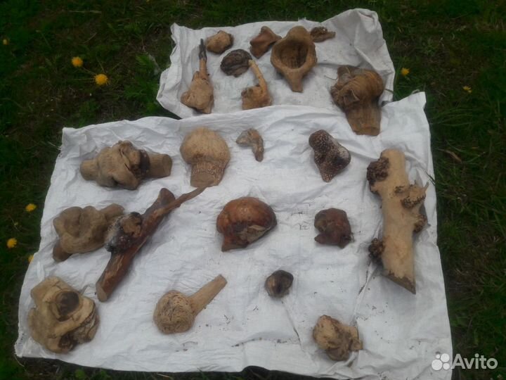 Кап (сувель)