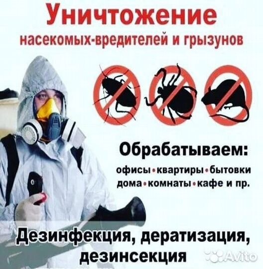 Уничтожение клопов и тараканов дезинфекция