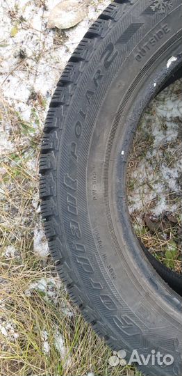 Cordiant Polar 195/60 R15