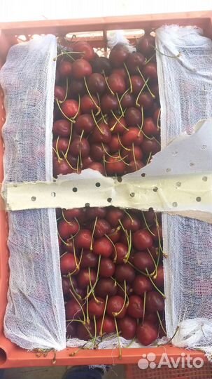 Клубника и Черешня свежая с доставкой