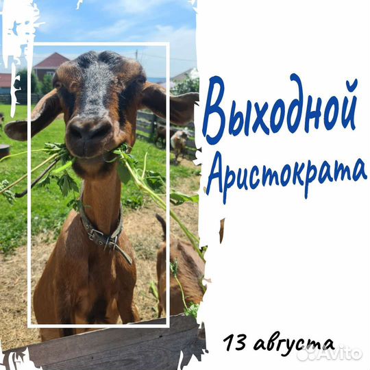 Туры на Байкал