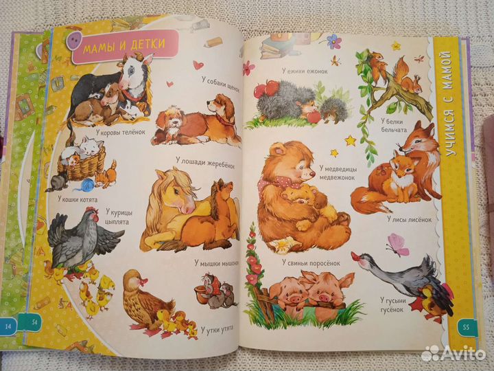 Подарочная книга с набором для девочки