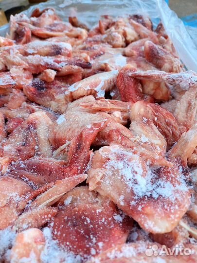 Крыло куриное