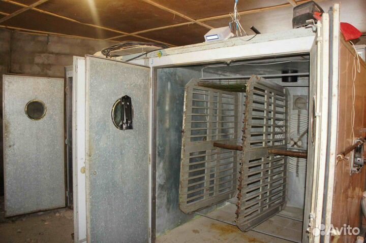 Инкубатор промышленный